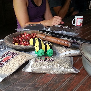 2015 Kaffee in Panama  2015  Kaffee Panama